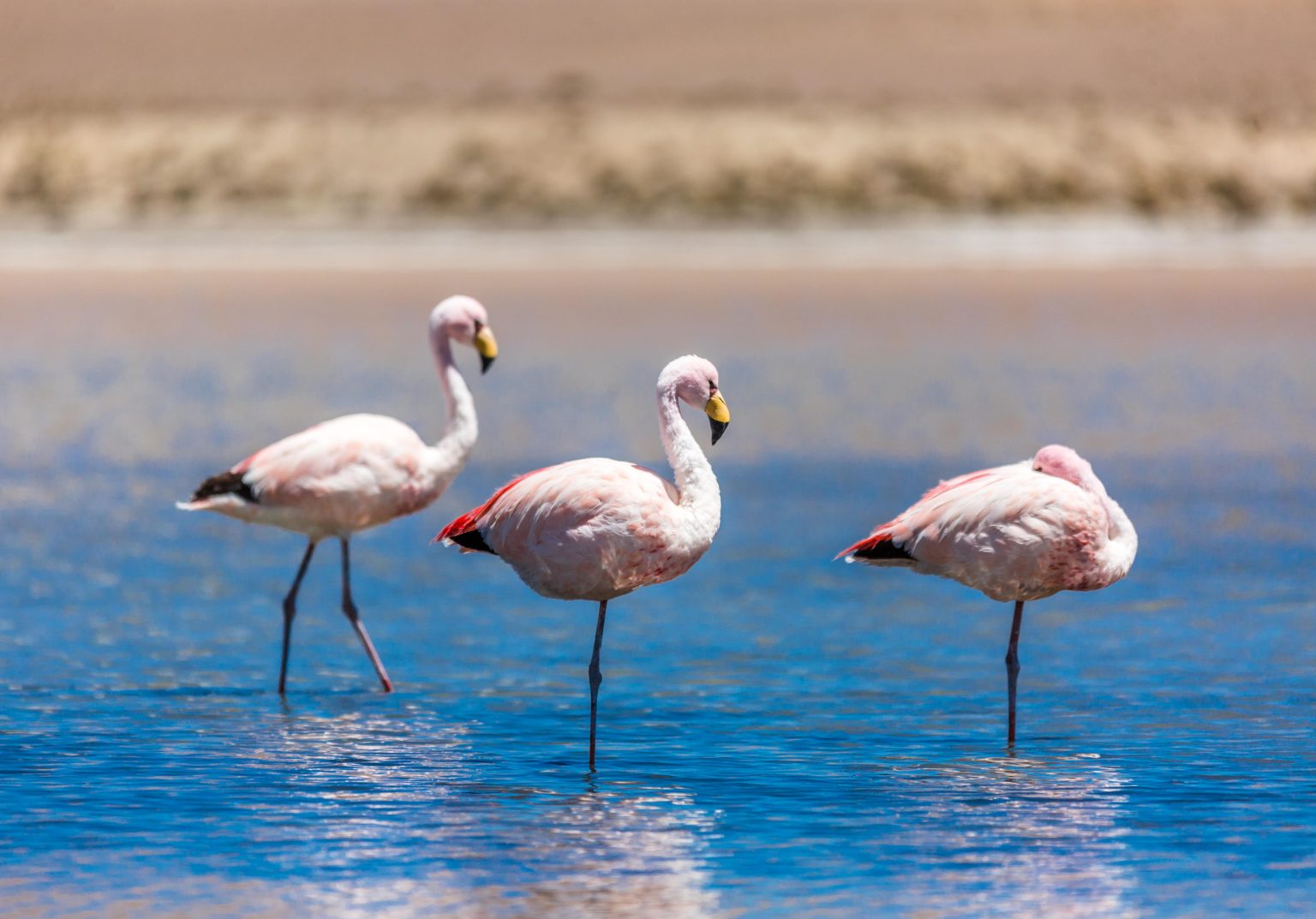 Stargazing Uyuni Photography Tour 9d/8n